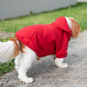 Dog Hoodies